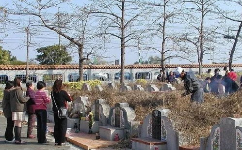 解释一下，屠尊是什么意思？屠尊在古代神话中代表着什么含义？