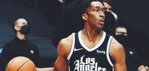 (特雷弗亨德森创造的怪兽)探秘特雷弗亨德森怪兽合集：惊人收藏的神秘生物世界