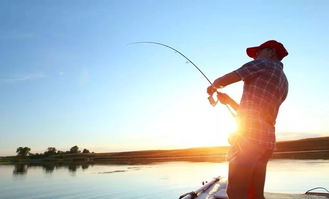 (探索频道钓鱼专家)探索钓鱼大咖官方网：钓鱼技巧分享与爱好者交流的理想平台