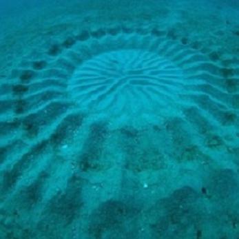 (生存挑战游戏英雄组合)探索挑战与求生的极限:超越智慧与力量的英雄生存游戏 (生存挑战游戏英雄组合)探索挑战与求生的极限:超越智慧与力量的英雄生存游戏