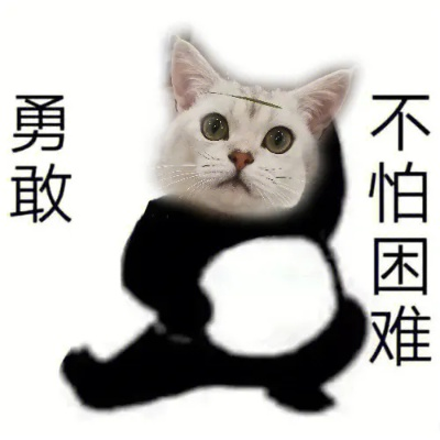 (勇敢猫猫的图片)勇敢向前创的猫咪表情包：挑战自我，展现勇气，勇往直前！