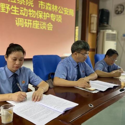 探索动物森林法则中的角色及其在生态系统中的重要性与生存策略