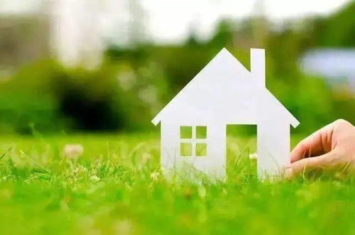 少女买房记：从租房到拥有自己的小天地，青春与梦想的蜕变旅程