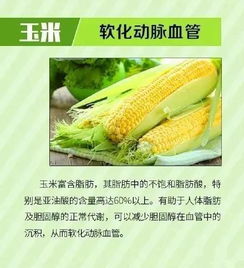 如何正确清洗木瓜奇迹？详细步骤与技巧分享，让你轻松享用美味健康水果！