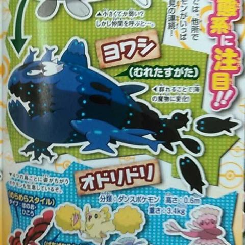 (喵喵神奇宝贝)宝可梦喵喵：爱冒险的小伙伴们，一起探索神奇之旅吧