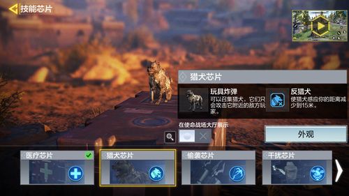 (狩猎使命手游宠物排名)狩猎使命中龙骑最佳宠物选择解析：带哪两个宠物效果最佳？