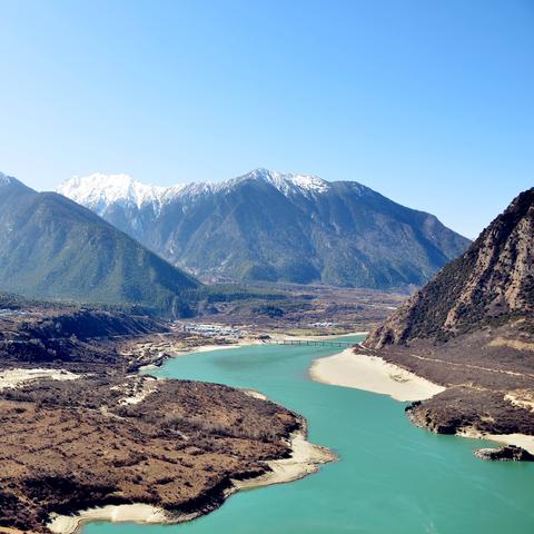 (勇敢冒险无所畏惧)勇敢猫：无畏探险者与胆怯战胜者，勇气与智慧的结合"。