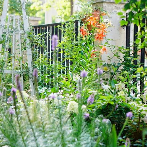 (爱丽丝仙境逃亡游戏)逃离仙境的爱丽丝游戏：探索梦幻世界中隐藏的秘密与挑战