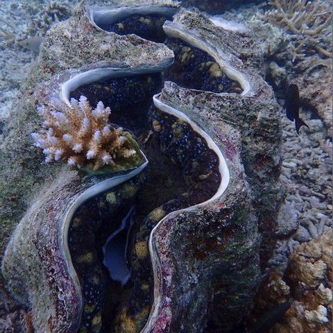 探索水族馆乐园无限金币与无限钻石的奇幻世界，尽享无尽乐趣与畅快体验！