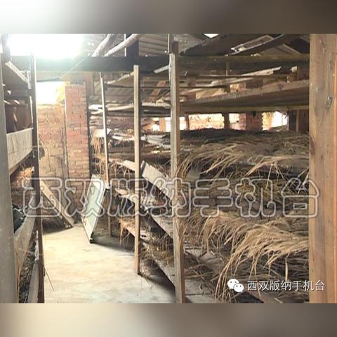 (依盖之书官网)探秘依盖之书攻略：解锁隐藏在书中的秘密与智慧