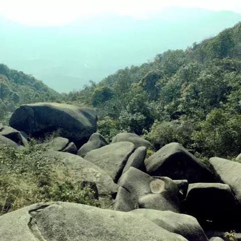 如何解锁遗忘仙境中的关卡？步骤详细，让你轻松畅游真正的仙境！