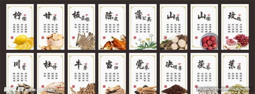 (中药铺子(马狮店)怎么样)探索中药铺子苹果版：传统中医药的数字化转型与用户体验提升