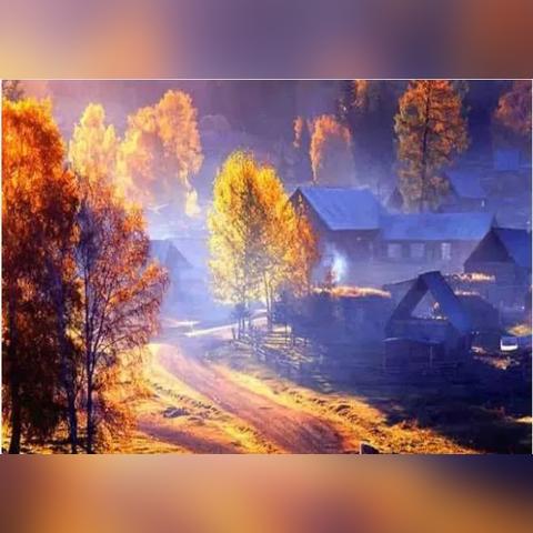 (小屋王国)免费领取王小屋的屋屋无限金币版游戏，无尽金币等你来挑战