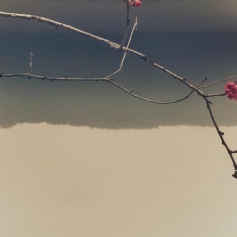 (寂无新书)探索寂无作品的内涵与艺术价值：从孤独到自我寻找的旅程