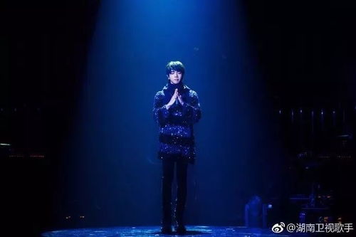 (播放华晨宇的代号还有几天)华晨宇的代号：揭示他在音乐旅程中的独特身份与魅力