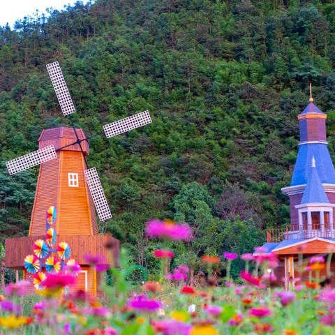 蜂蜂乐园是几几年被下架的?它的消失给消费者和产业带来了什么影响? 蜂蜂乐园是几几年被下架的?它的消失给消费者和产业带来了什么影响?