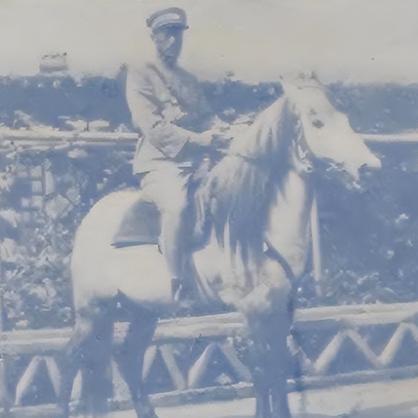 (王国征战官网)深入解析王国征途攻略：从新手到高手的全方位玩法与策略探索