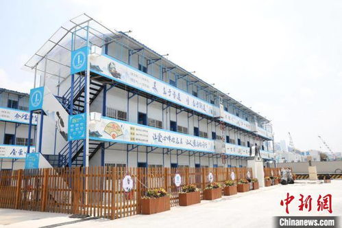 (战鼓之歌)揭秘战鼓之翼：这个项目到底骗了多少人？