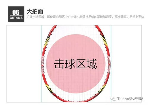 线球怎么玩：从基础规则到技巧提升，教你掌握这项有趣的运动！