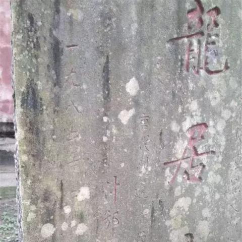 (逆转漂流者官网)逆转漂流者改名叫什么？探讨游戏改名现象背后的原因和影响