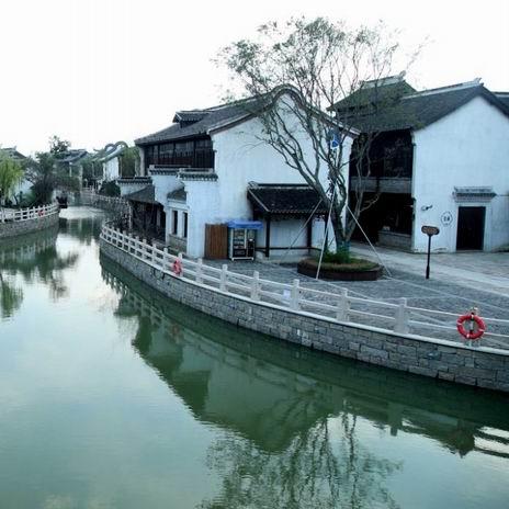 (紫金繁花为什么下架)探寻紫金繁花安卓版：解锁无限精彩，畅享花海乐趣无穷