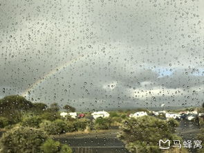 春夏·露谢拉:探寻自然之美,感受季节交替的魅力与变化 春夏·露谢拉:探寻自然之美,感受季节交替的魅力与变化