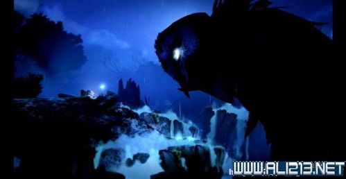 探秘神秘乌鸦森林:黑暗的树影、哀嚎的风声,荆棘丛生的迷雾之地 探秘神秘乌鸦森林:黑暗的树影、哀嚎的风声,荆棘丛生的迷雾之地