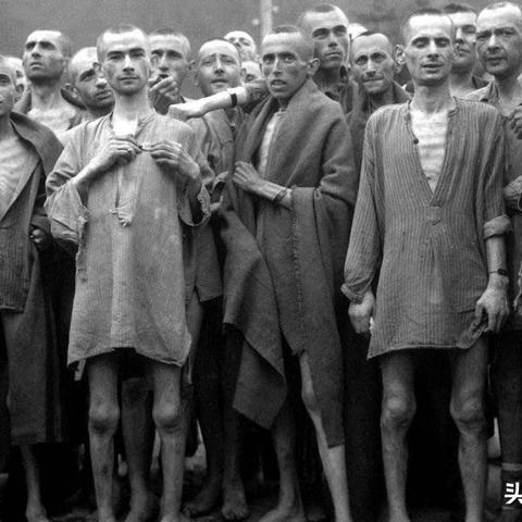 (纳粹视角的战争片)2024年最新纳粹战争片-揭秘纳粹之殇，与世界再度力战生死绝境