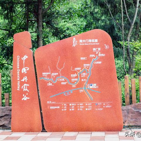 探寻回音花传说：神秘花千年传世，倾诉山谷久远心事，婉转细语回荡久远传说