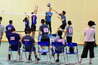 (长沙打球)长沙举办三大球运动会发布会,吸引全球目光并引发热议 (长沙打球)长沙举办三大球运动会发布会,吸引全球目光并引发热议