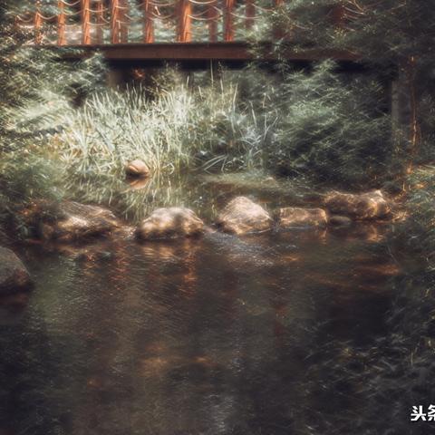 (阴阳百鬼物语怎么看)探寻阴阳世界：百鬼物语GO，揭秘神秘的灵异世界之谜