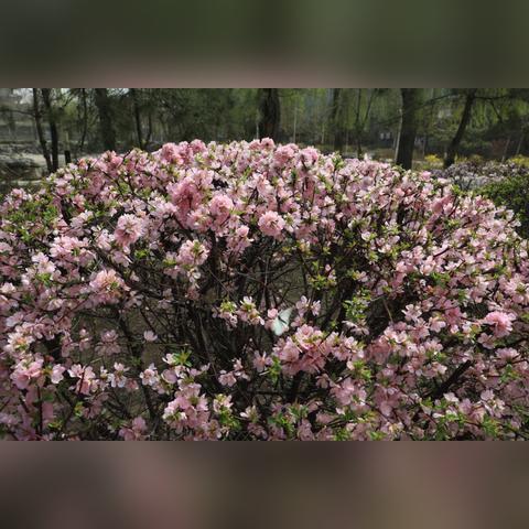 (一路奔向你)一路奔向月光的彼岸：追寻梦想与爱的结局