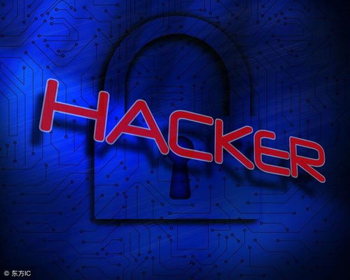 (深夜行动猜一生肖)深夜行动：源代码删除破旧档案室，揭秘保密文件背后的秘密