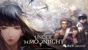 (终结的世界与你和我结局1)终结的世界与你和我：全结局之际，我们一起面对最终的命运。