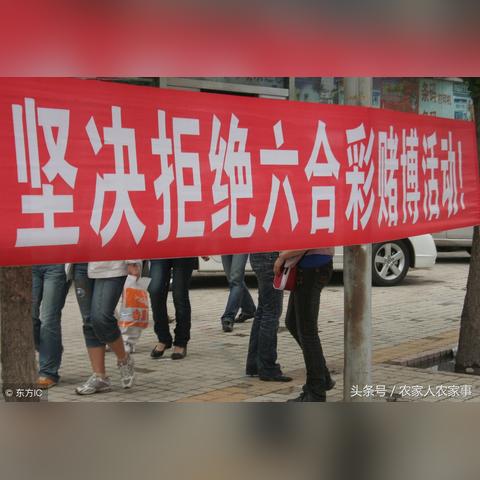 香港特马王资料免费公开|探索新趋势掌握未来资讯_专业款.0.9