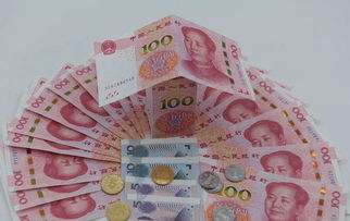 黄大仙精准四肖15码|探索未来科技无限可能_银版.1.527