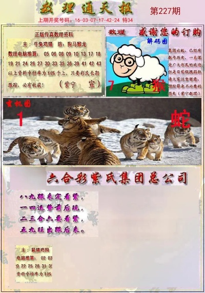 四不像今晚最准确一肖|深入解答解释落实_高端款.3.341