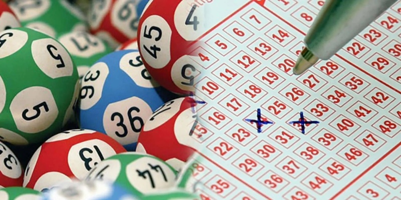 2024澳门天天开好彩资料?|现状分析解释落实_经典版IP.3.656