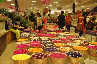 2024新澳门天天开奖攻略|探索古镇风情与美食之旅_挑战款.6.205 2024新澳门天天开奖攻略|探索古镇风情与美食之旅_挑战款.6.205