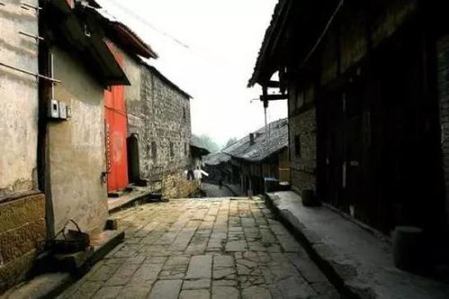 澳门三码三码精准黄大仙|探索城市的秘密角落_长期品.2.845