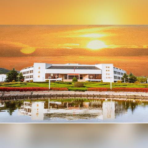 恢复118论坛网之家|深度探索未来生活新趋势_同步品.9.240