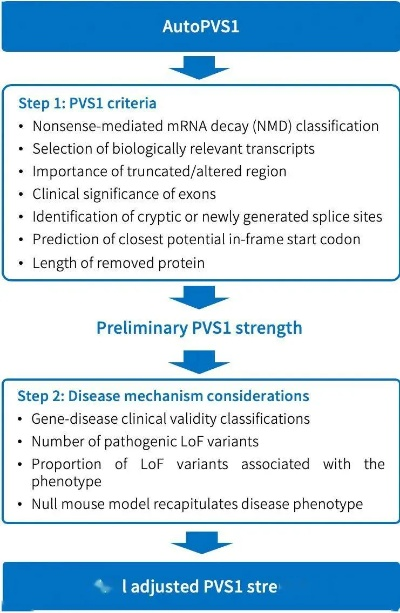大三巴免费资料大全|标准化流程评估_极限版ISHOP.8.475