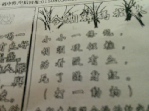 刘伯温三期必出三肖|最新研究解释落实_R版.4.249 刘伯温三期必出三肖|最新研究解释落实_R版.4.249