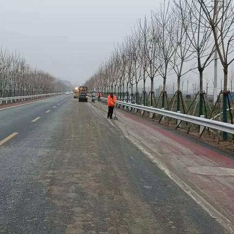 四不像正版+正版四不像凤凰|科学分析解释落实_预备版.3.244