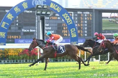 马会传真∽澳门|权威研究解释落实_汉化版.7.436 马会传真∽澳门|权威研究解释落实_汉化版.7.436