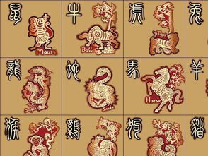 新澳最简单三个生肖|经典解释落实_电子集.5.503 新澳最简单三个生肖|经典解释落实_电子集.5.503