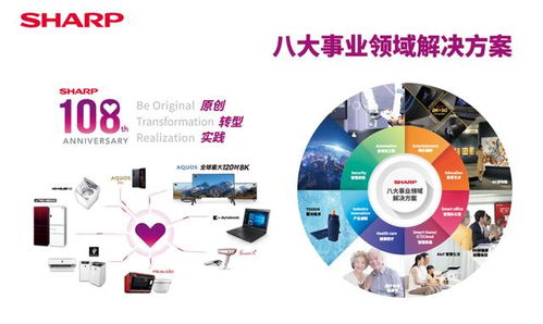 2024新奥资料免费精准051,澳门|全方位解决问题的有效策略_WP.9.381