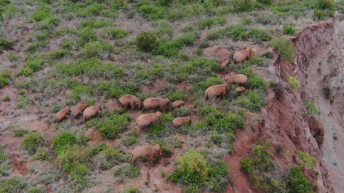 新奥全年资料免费大全|新趋势下的投资攻略与机遇_过度集.3.602