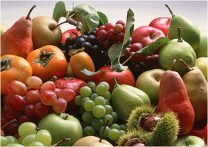 水果奶奶澳门论坛全新揭秘|实地研究解释落实_过度集.1.955