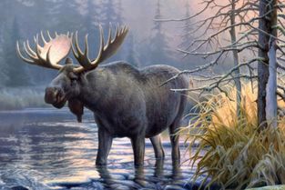 四不像正版资料|探索未来科技的无限可能_综合版.5.643 四不像正版资料|探索未来科技的无限可能_综合版.5.643